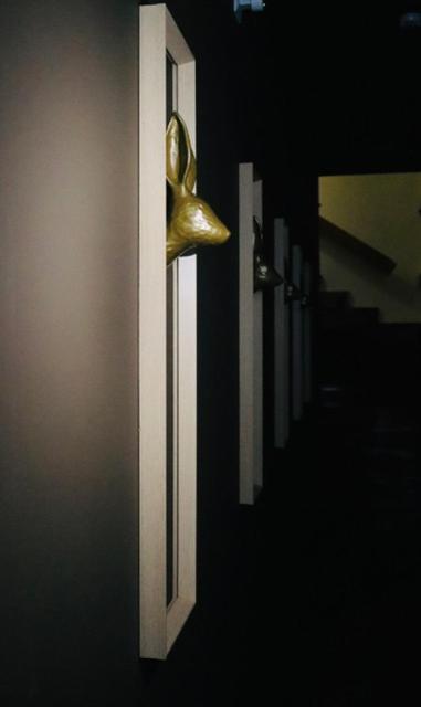 קוימברה Casa Coelho Guesthouse מראה חיצוני תמונה